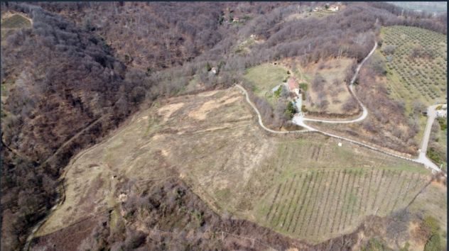 TERRENO COLLINARE IN AFFITTO A MANTA