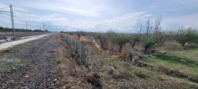Terreno in vendita a Paternò - Foto 16