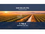 Immobile in asta di 5572 m² in vendita a San Gillio