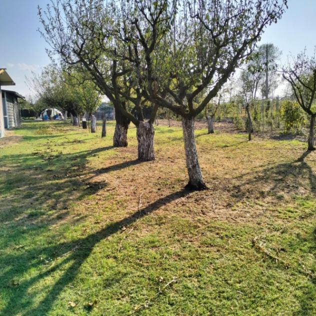 C031. CARPI CAMPAGNA. TERRENO AGRICOLO CON LAGETTO E CAPANNONCINO. - Foto 9