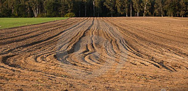 Terreno a Piove di Sacco - Rif. TERRENI CERCASI