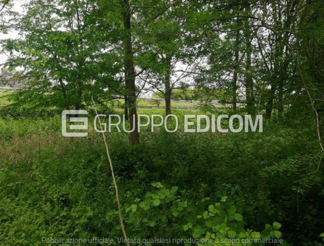 Terreno di 34378 mq in vendita a Treviso - Rif. 4550468