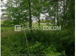 Terreno di 34378 mq  in vendita a Treviso - Rif. 4550468