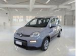 FIAT Panda 1.0 FireFly S&S Hybrid Red rif. 24066671