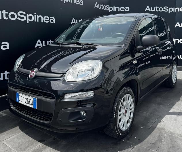 FIAT Panda 1.2 69cv S&S E6d-Temp Easy #5°posto #vetriprivacy