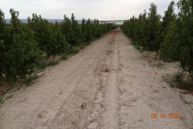 Immobile in asta di 46740 m² in vendita a Licodia Eubea - Foto 9