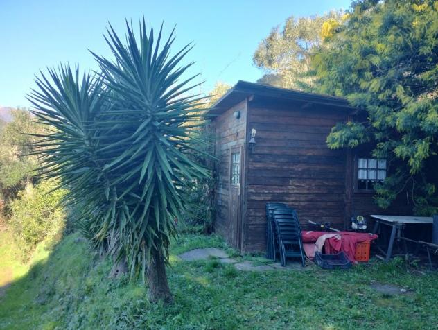 Terreno agricolo in vendita a Vallecchia - Pietrasanta 3000 mq Rif: 1283046 - Foto 5