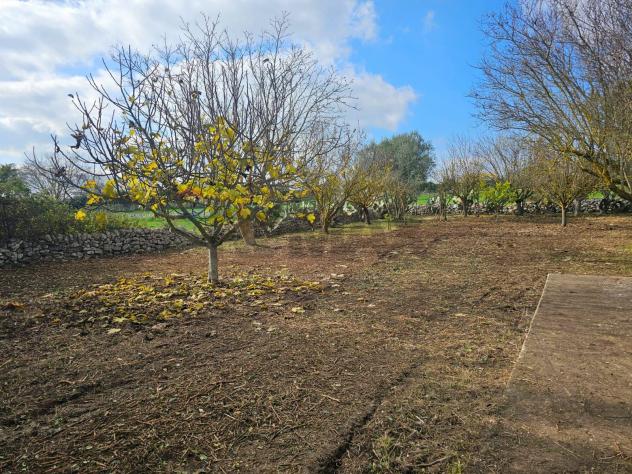 Terreno Edificabile in vendita a Ragusa, Gesuiti Pianetti - Foto 6