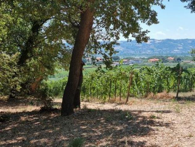 Seminativo in vendita a Santa Maria Imbaro - Foto 8