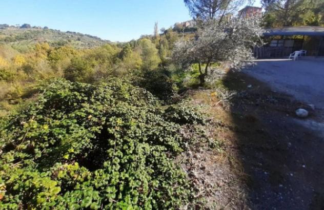 Immobile in asta di 8622 m² in vendita a Mirabello Sannitico - Foto 5