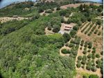 Villa in vendita a Scansano 150 mq  Rif: 1334264