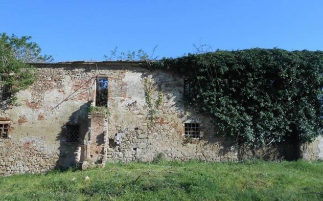 Colonica in vendita a Asciano 1352 mq Rif: 751134 - Foto 6