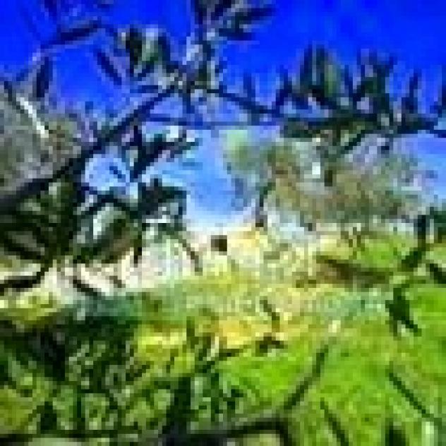 Korion di Milillo Marinella - Foto 3