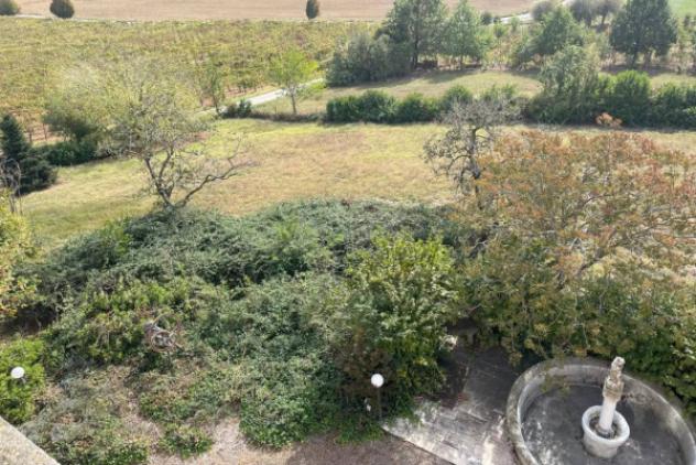 Immobile in asta di 4058 m² in vendita a Castel San Giovanni - Foto 7