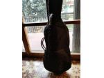 Violoncello 3/4