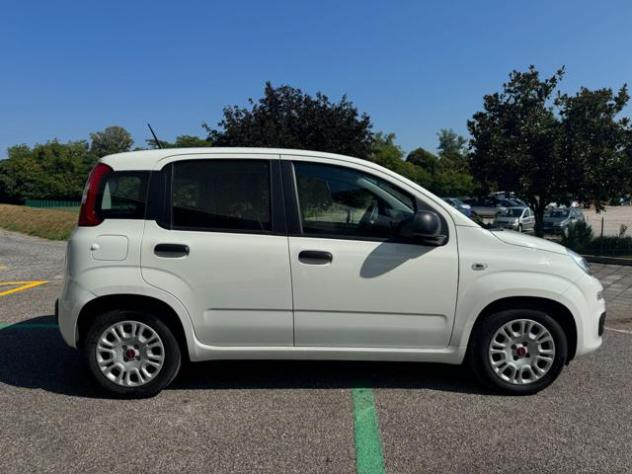 FIAT Panda III 1.0 FireFly 70Cv S&S Hybrid Easy rif. 23909664 - Foto 7
