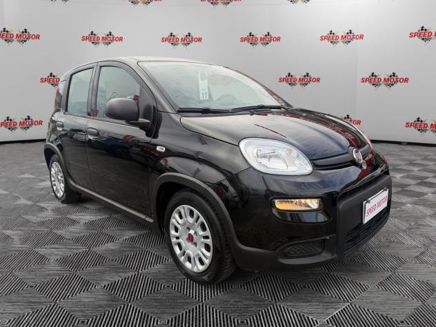 FIAT Panda Panda 1.0 firefly hybrid 70cv 5 POSTI, SENSORI PARCHEGGIO!