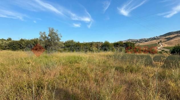 Terreno Agricolo - Tivoli . Rif.: Cod. rif 3337870VCG - Foto 3
