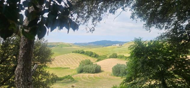 Azienda agricola in vendita a Terricciola 1000 mq Rif: 1427123 - Foto 2