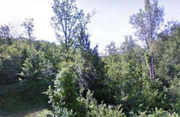 Immobile in asta di 37000 m² in vendita a Ferriere - Foto 3