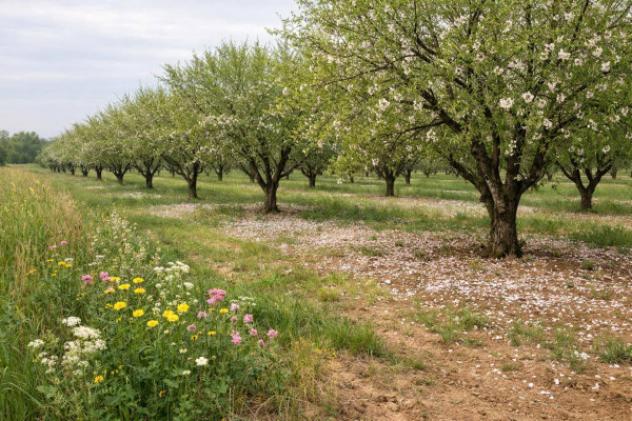 Immobile in asta di 4740 m² in vendita a Lanuvio - Foto 10
