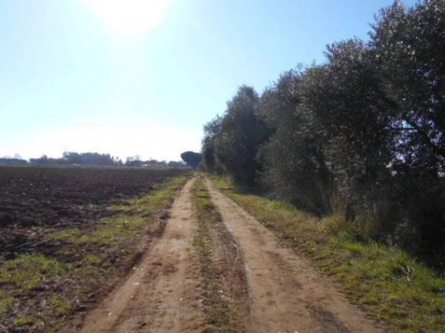 Immobile in asta di 107380 m² in vendita a Latina - Foto 2