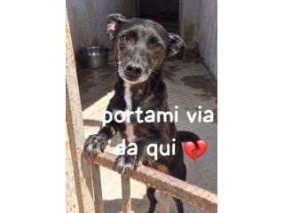 MINNIE 4 ANNI 6/7 KG taglia piccola