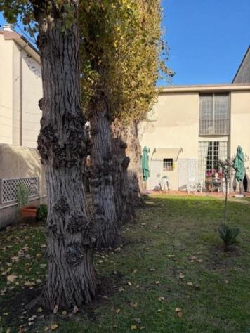 Casa semindipendente in vendita a Navacchio - Cascina 340 mq Rif: 1370884 - Foto 4