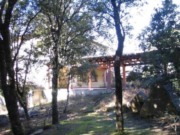 Immobile in asta di 3588 m² in vendita a Ilbono - Foto 5