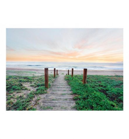 Fotomurale Adesivo Alba Tra Erba E Mare Arredalacasa - Foto 2
