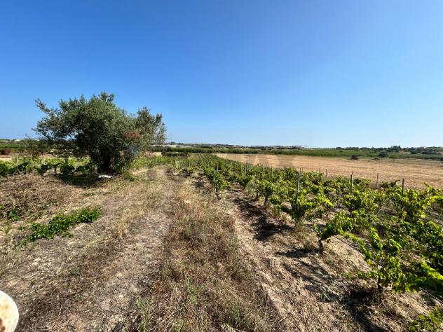 Terreno in vendita a Noto - Foto 9