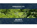 Immobile in asta di 7387 m² in vendita a Romanengo
