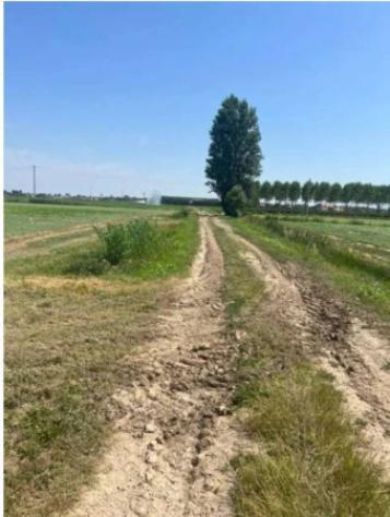 Immobile in asta di 21400 m² in vendita a Villimpenta - Foto 2