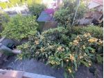 Terratetto in vendita a Marina di Carrara - Carrara 130 mq  Rif: 1412569