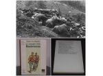Le battaglie della Resistenza, P. Santarone A. Marchetti, Edizione MADIS 1974.