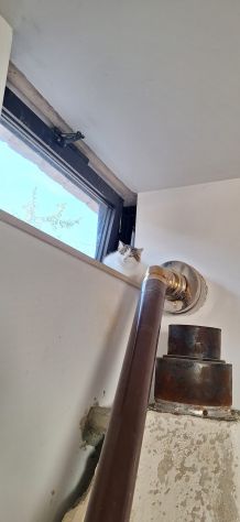 Dafne gattina meraviglioso manto - Foto 3