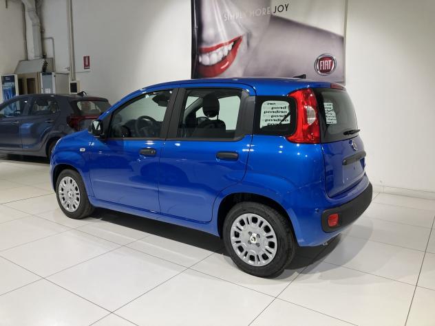 FIAT Panda 1.0 FireFly 70cv S&S Hybrid Icon vari colori - Foto 4