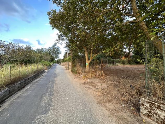 Magazzino in vendita a Borgia - Foto 8