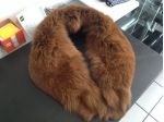 Colli di pelo