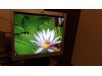 monitor HP L1706