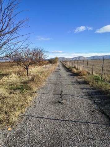roma est terreno agricolo di 27 ettari - Foto 7