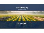 Immobile in asta di 6075 m² in vendita a Assemini