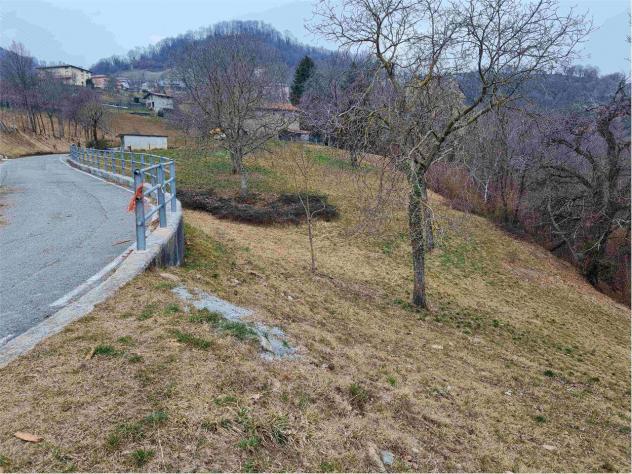 2239/2025 4 BG - Fabbricato rurale con stalla e fienile + terreni agricoli e boschivi - Foto 5