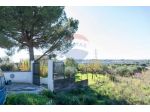 Terreno in vendita a Camporotondo Etneo