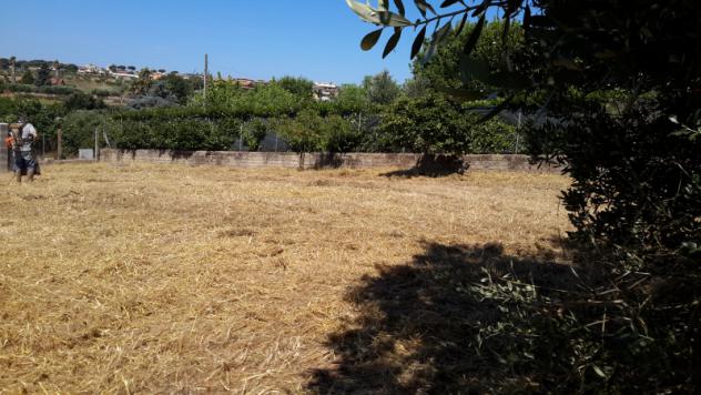 TERRENO AGRICOLO di 1300 mq (POMEZIA) rif. C/305 - Foto 9