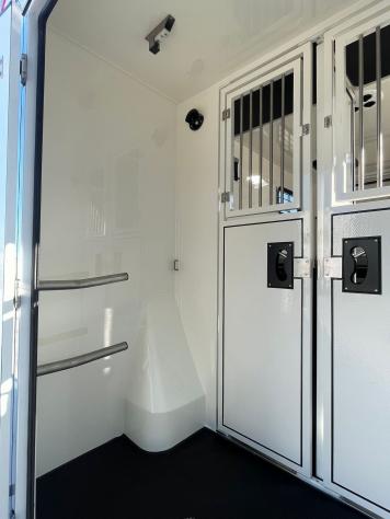 Renault Master Master 2.0 TD 170 CV HARAS ALLESTIMENTO STALLONI 3 POSTI CABINA - Foto 5