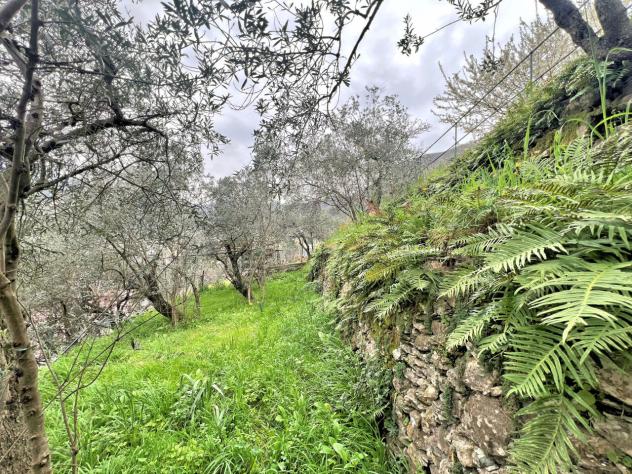 Magazzino in vendita a Sori - Foto 11