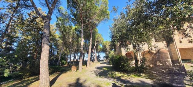 VILLA CON GRANDE PARCO IN ZONA CASTIGLIONE DEL LAGO - Foto 6