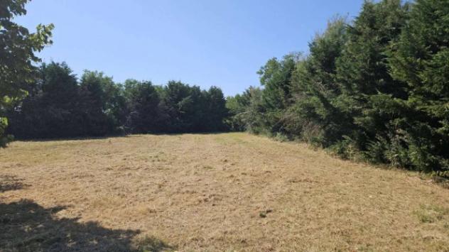 Immobile in asta di 168 m² con più di 5 locali in vendita a Ostellato - Foto 5