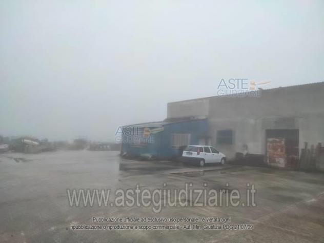IMMOBILI-IMMOBILE INDUSTRIALE-Contrada Rovere, 86025 Ripalimosani CB, Italia - Foto 3